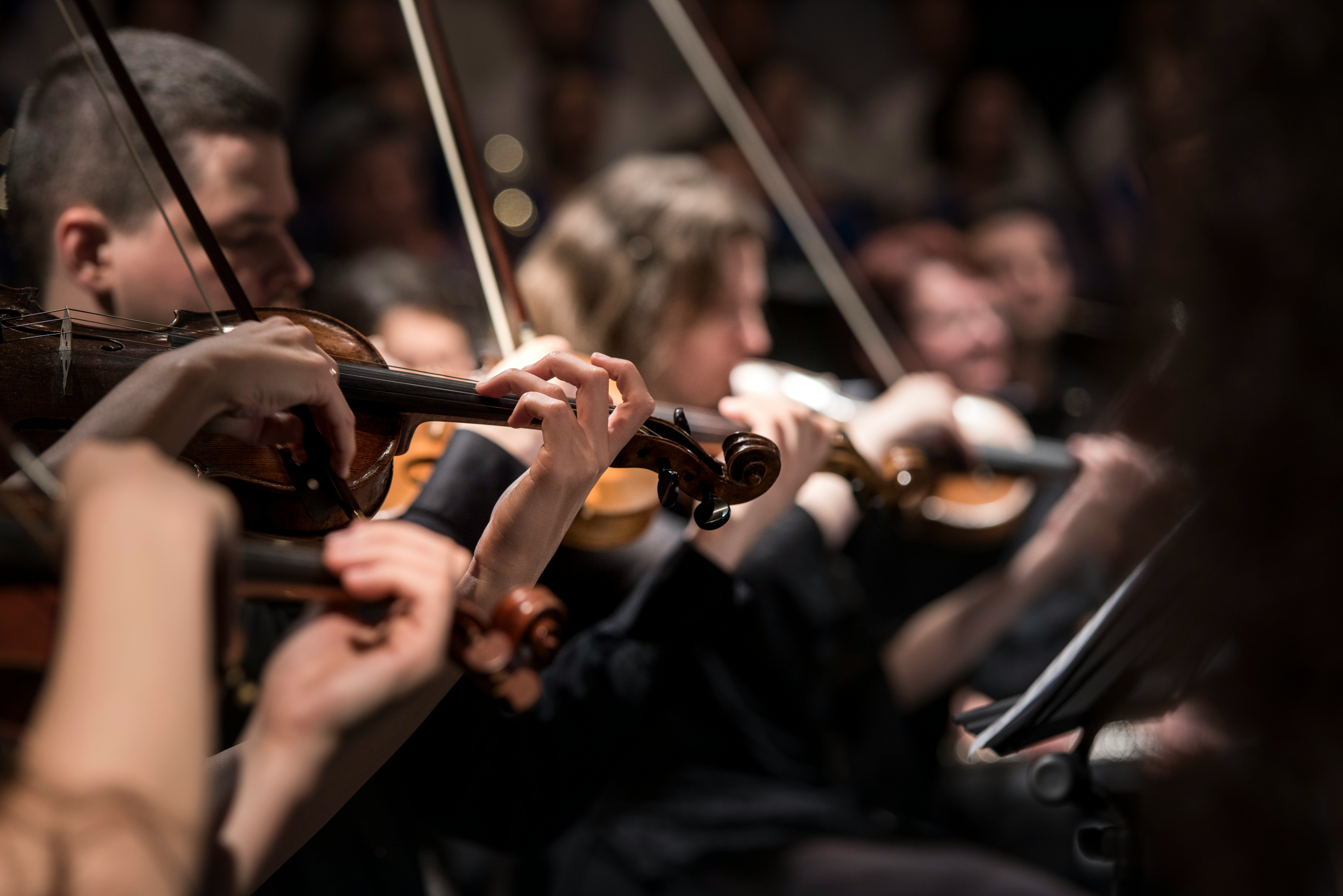 A string section playing together
